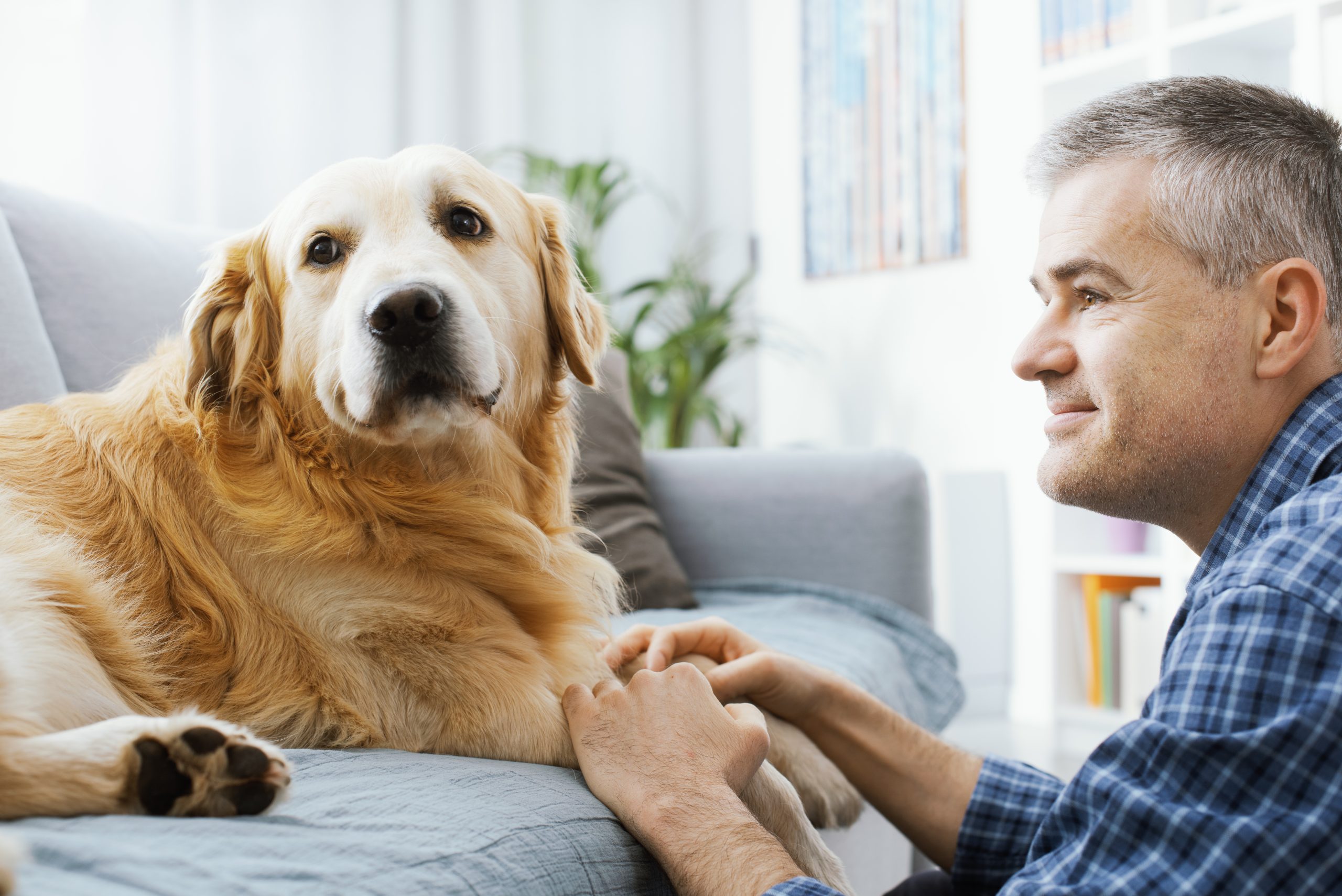 Cute dog and his owner